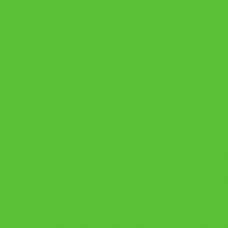 Pisak artystyczny Lyra Hi-Quality Art Pen, Apple Green 070 - 2